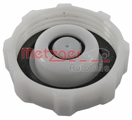 Buson vas expansiune METZGER 2140119